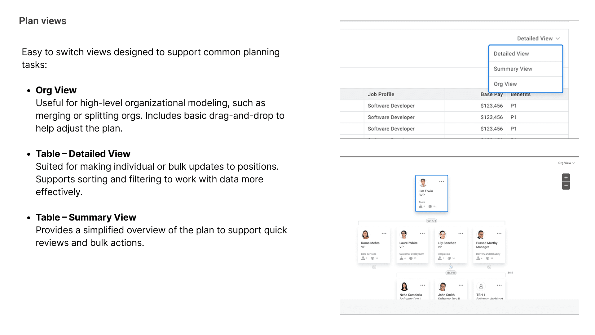 Concept plan views with the org, detailed table, and summary view switcher